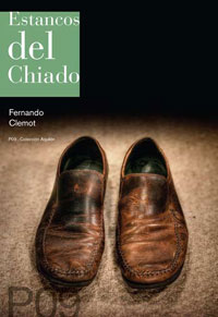 Fernando Clemot Paralelo Sur ediciones 2008