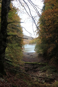 Selva de Irati Embalse de Irabia