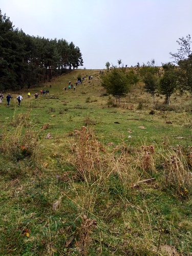 24 marcha hoyos de Iregua