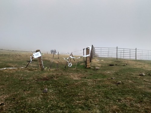 24 marcha hoyos de Iregua