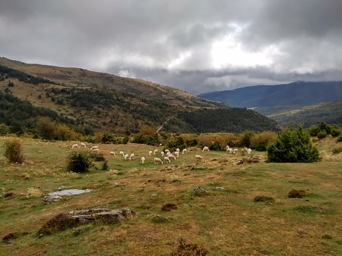 24 marcha hoyos de Iregua