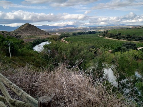 El Ebro a su paso por El Cortijo