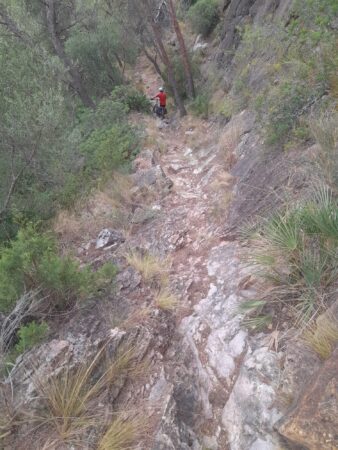 IMG-20260826-WA0031